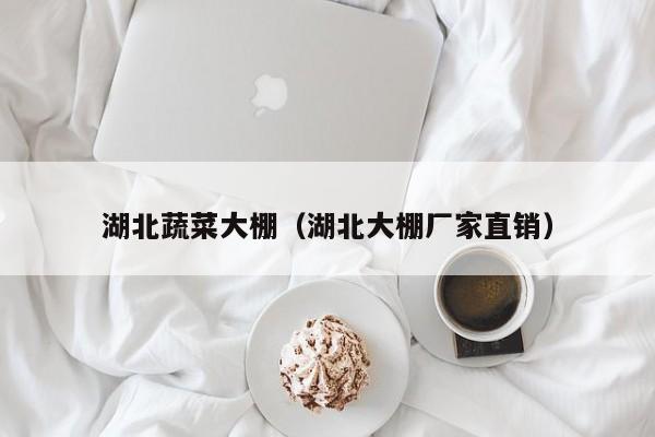 湖北蔬菜大棚（湖北大棚厂家直销）