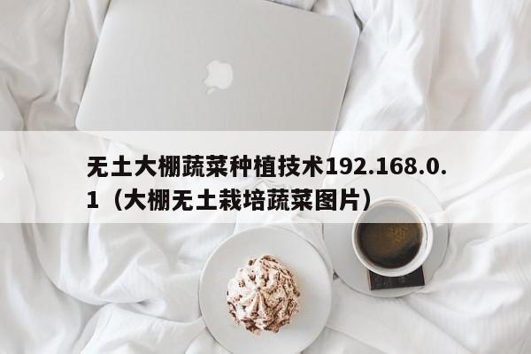 无土大棚蔬菜种植技术192.168.0.1（大棚无土栽培蔬菜图片）