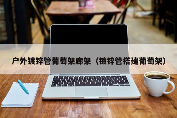 户外镀锌管葡萄架廊架（镀锌管搭建葡萄架）