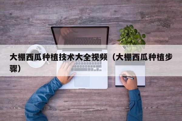 大棚西瓜种植技术大全视频（大棚西瓜种植步骤）