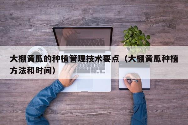 大棚黄瓜的种植管理技术要点（大棚黄瓜种植方法和时间）